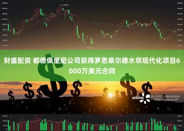 财盛配资 都德佩里尼公司获得罗思柴尔德水坝现代化项目6000万美元合同